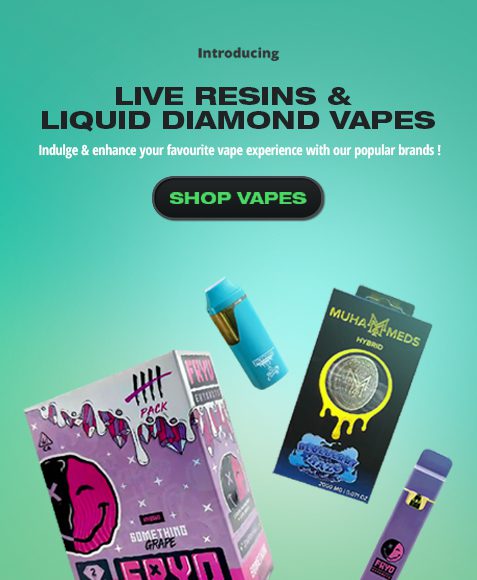 Mob Version Banner 1